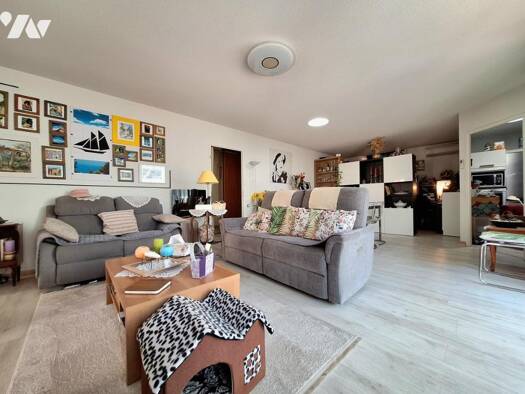 Maison en viager occupé Bouquet 44 550 € 3 pièces 2 chambres 90 m² 14 621 m² de terrain Saleilles 66280