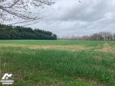 Terrain constructible à vendre 218 190 € 7 000 m² de terrain Guer 56380