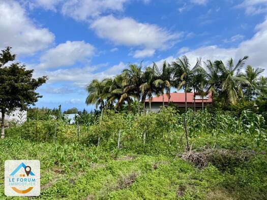 Terrain constructible à vendre 191 000 € 610 m² de terrain Le Tampon 97430
