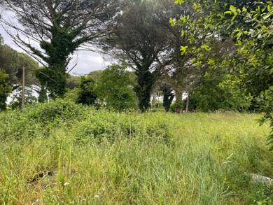 Terrain constructible à vendre 53 200 € 700 m² de terrain Centre Ville Langon 33210
