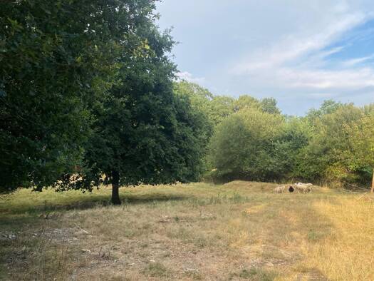 Propriété de loisirs à vendre 28 000 € 8 610 m² de terrain Guipry-Messac 35480
