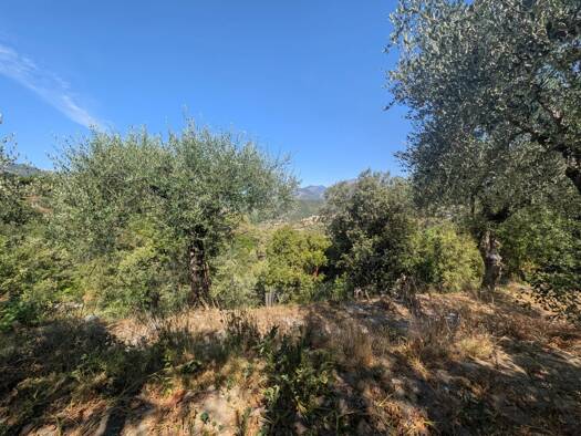 Terrain constructible à vendre 215 000 € 1 734 m² de terrain Saint-Blaise 06670