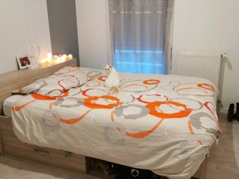 Maison à louer, 55m², VERN SUR SEICHE