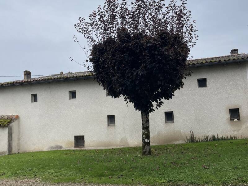 Maison à vendre, 209m², CHADENAC