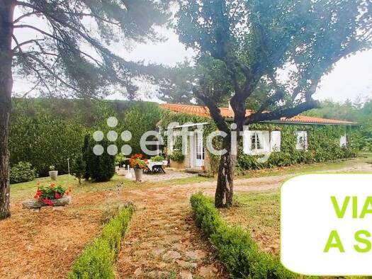 Maison en viager occupé Bouquet 60 500 € 5 pièces 2 chambres 87 m² 1 171 m² de terrain Anglards-de-Saint-Flour 15100