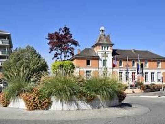 Appartement en viager occupé Bouquet 39 900 € 2 pièces 1 chambre 50 m² Centre et RN La Verpilliere 38290