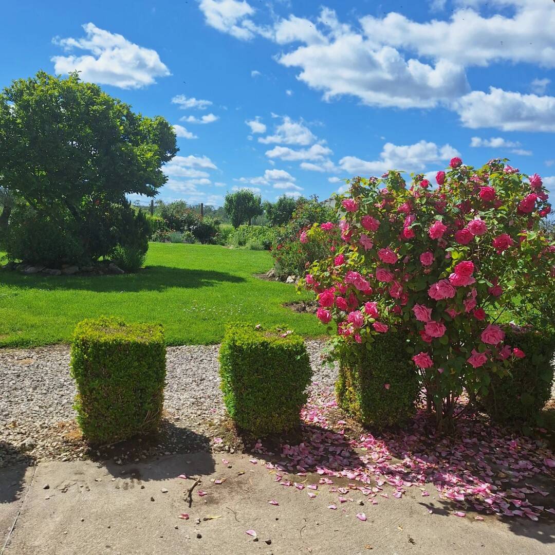 Maison à vendre, 170m², ROZAY EN BRIE