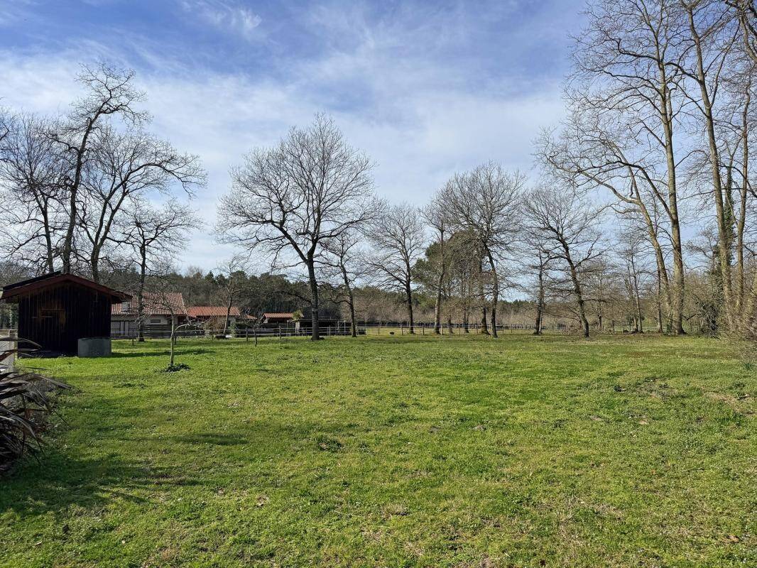 Maison à vendre, 225m², RIVIERE SAAS ET GOURBY