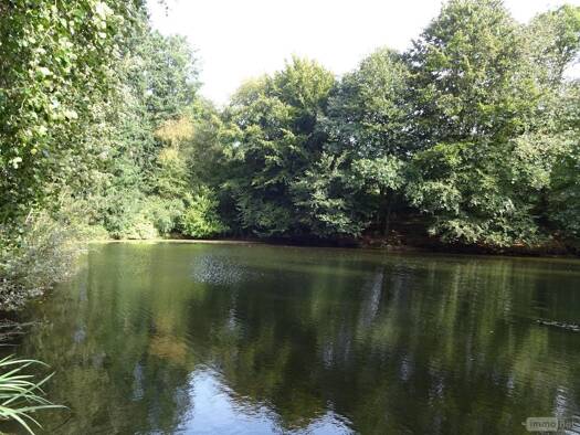 Terrain à vendre 62 140 € 4 711 m² de terrain La Chapelle-Fleurigné 35133