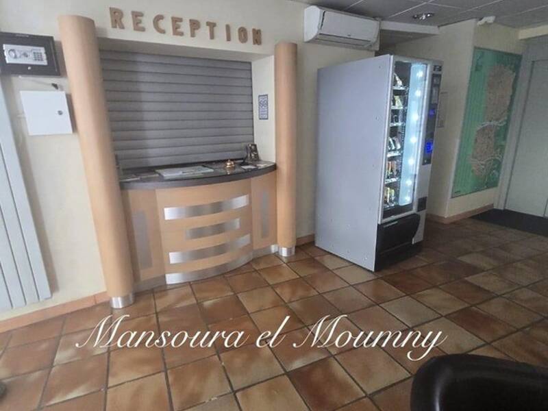 Maison à vendre, 600m², TOURS