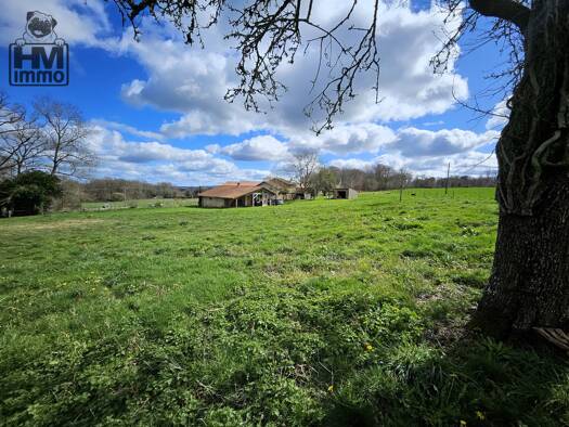 Maison de plain-pied à vendre 107 500 € 4 pièces 3 chambres 85 m² 5 000 m² de terrain Châlus 87230