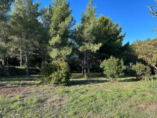 Terrain constructible à vendre 255 000 € 674 m² de terrain Sud Est Ollioules 83190