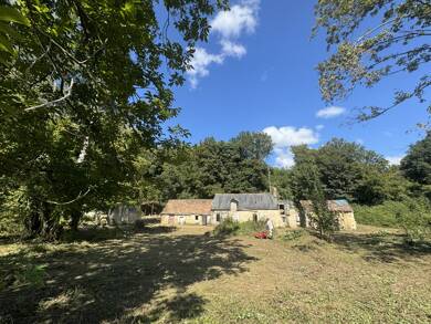Maison à vendre 129 000 € 4 pièces 2 chambres 120 m² 44 597 m² de terrain Thoiré-sur-Dinan 72500