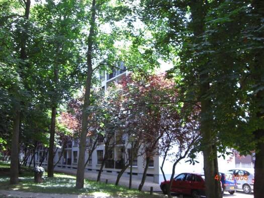 Appartement à louer 925 € 4 pièces 3 chambres 67 m² 4ème étage Torcy 77200