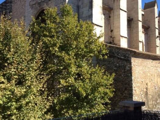 Appartement à louer 855 € 2 pièces 1 chambre 57 m² 2ème étage Centre Ville Saint-Maximin-la-Sainte-Baume 83470