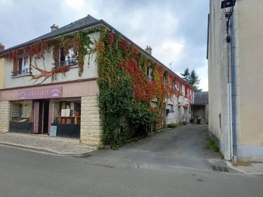 Immeuble à vendre 85 000 € 315 m² Vaiges 53480