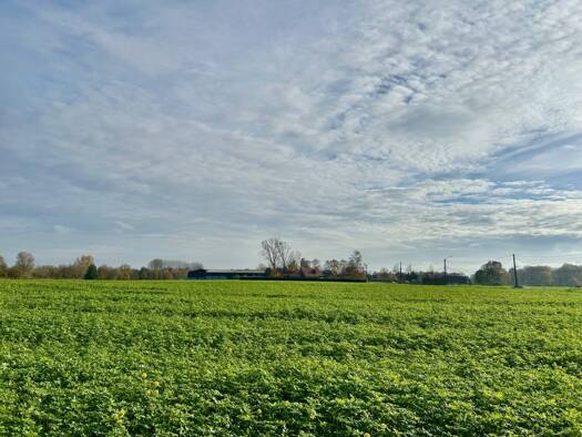 Maison à vendre 849 000 € 4 pièces 3 chambres 171 m² 2 000 m² de terrain Verlinghem 59237