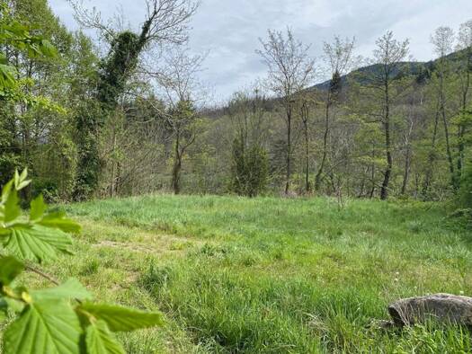 Terrain constructible à vendre 75 000 € 2 764 m² de terrain Valgorge 07110