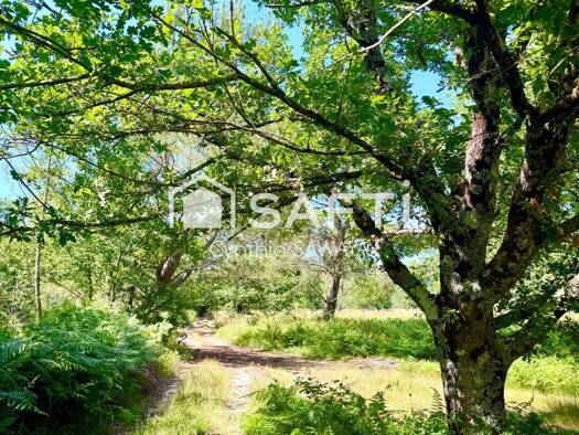 Terrain constructible à vendre 670 000 € 30 000 m² de terrain Chante Cigale Gujan-Mestras 33470