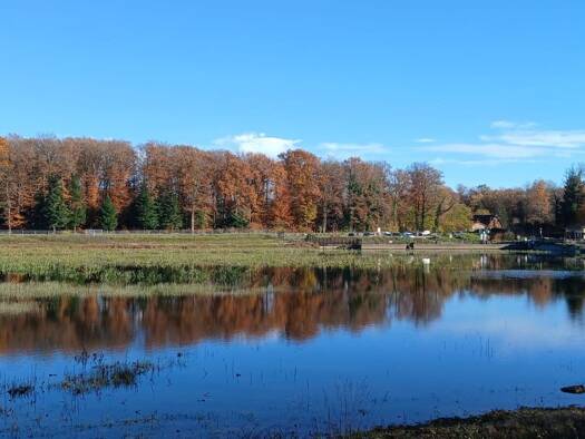 Propriété de loisirs à vendre 577 500 € 73 858 m² de terrain Leval 90110