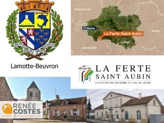 Maison en viager 130 400 € 7 pièces 4 chambres 200 m² 1 832 m² de terrain La Ferté-Saint-Aubin 45240