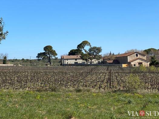 Maison à vendre 3 980 000 € 7 pièces 5 chambres 560 m² 726 900 m² de terrain Puisserguier 34620