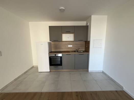 Appartement à louer 950 € 2 pièces 1 chambre 45,2 m² Étage 4/5 Centre Sud Ouest Saint-Louis 68300