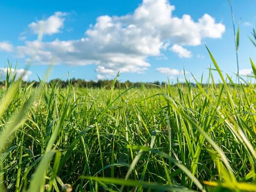 Terrain à vendre - neuf 117 000 € 419 m² de terrain Muzillac 56190