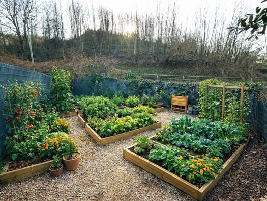 Terrain à vendre 18 000 € 65 m² de terrain Rives 38140