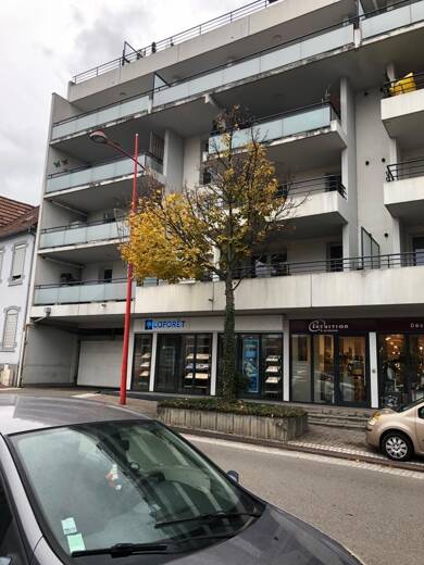 Appartement à louer 855 € 3 pièces 2 chambres 66 m² Étage 4/4 Centre Lingolsheim 67380
