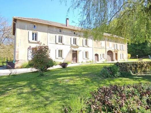 Maison à vendre 489 000 € 9 pièces 6 chambres 300 m² 21 796 m² de terrain Ménil-sur-Belvitte 88700