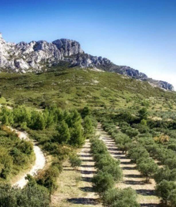 Maison à vendre, 124m², MAUSSANE LES ALPILLES