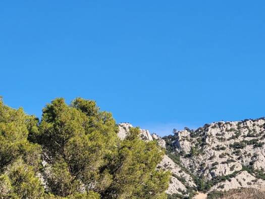 Boutique à vendre Fonds de commerce 77 000 € 35 m² de surface de vente La Valette-du-Var 83160