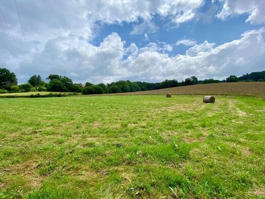 Terrain constructible à vendre 59 000 € 1 971 m² de terrain Cescau 64170