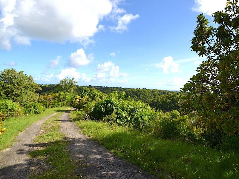 Maison à vendre, 403m², LE GOSIER