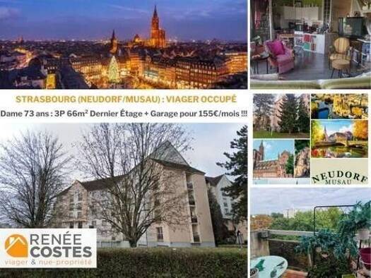 Appartement en viager occupé Bouquet 83 620 € 3 pièces 1 chambre 66 m² Étage 5/5 Port du Rhin Centre Strasbourg 67100