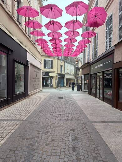 Local commercial à louer 700 € 48 m² de surface de vente Cité Bretonnie-Chatelet-Favieres-Conches Montluçon 03100