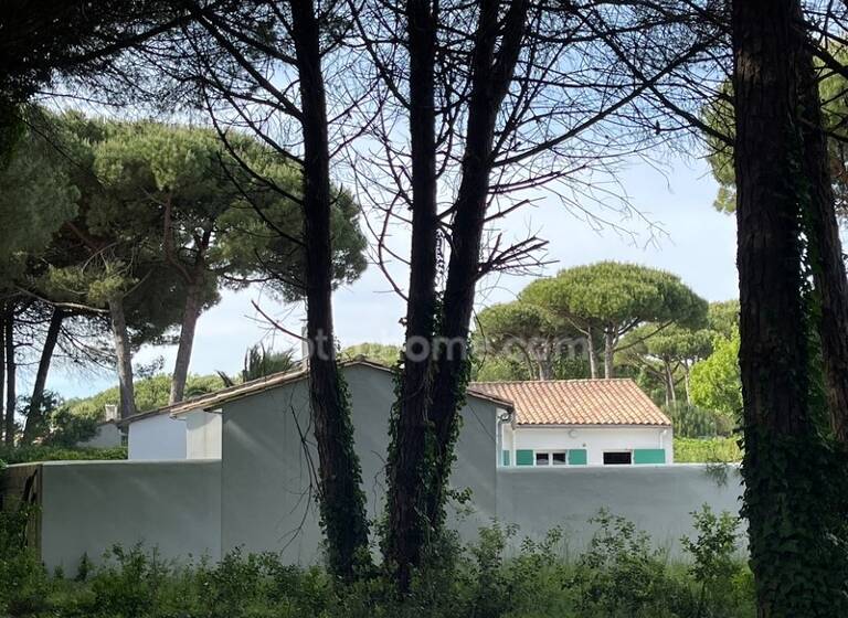 Maison à vendre 829 000 € 6 pièces 6<br/>chambres 125 m²<br/>superficie 400 m²<br/>terrain Île De Ré Le Bois-Plage-en-Ré 17580