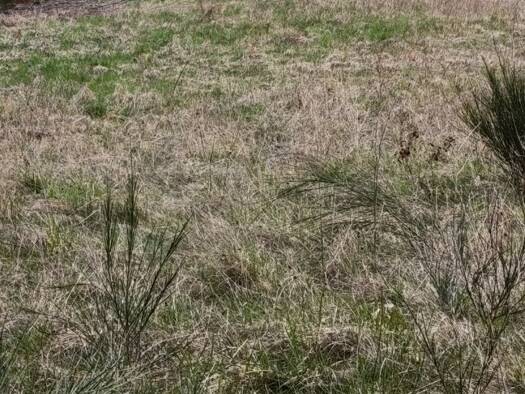 Terrain à vendre 17 000 € 1 467 m² de terrain Ally 15700