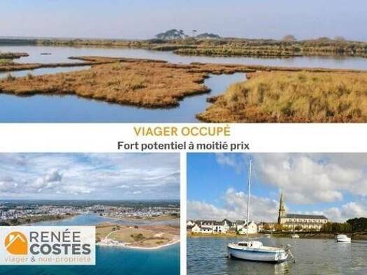 Maison en viager occupé Bouquet 139 250 € 11 pièces 5 chambres 178 m² 1 000 m² de terrain Riantec 56670