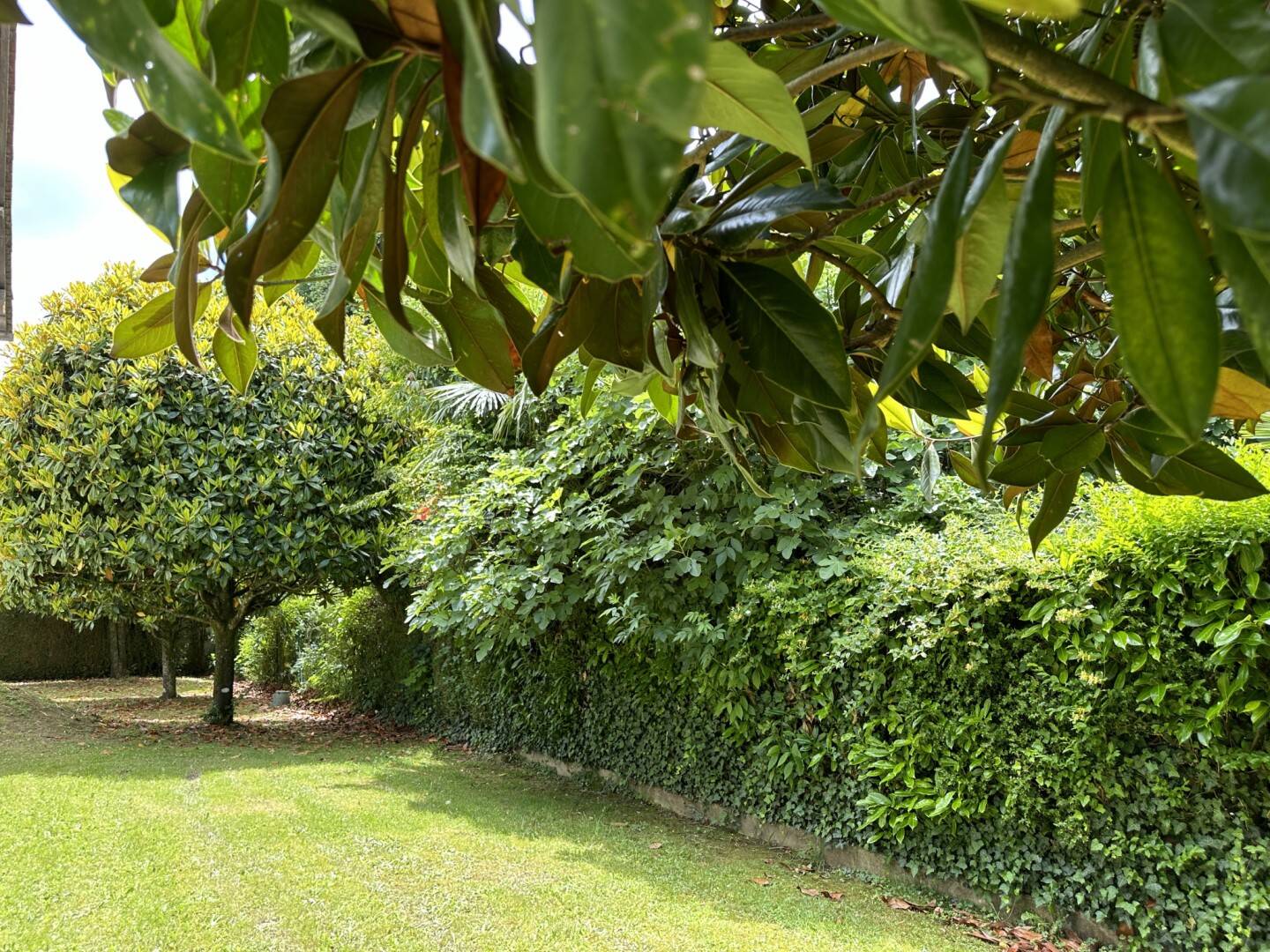 Maison à vendre, 200m², PAU