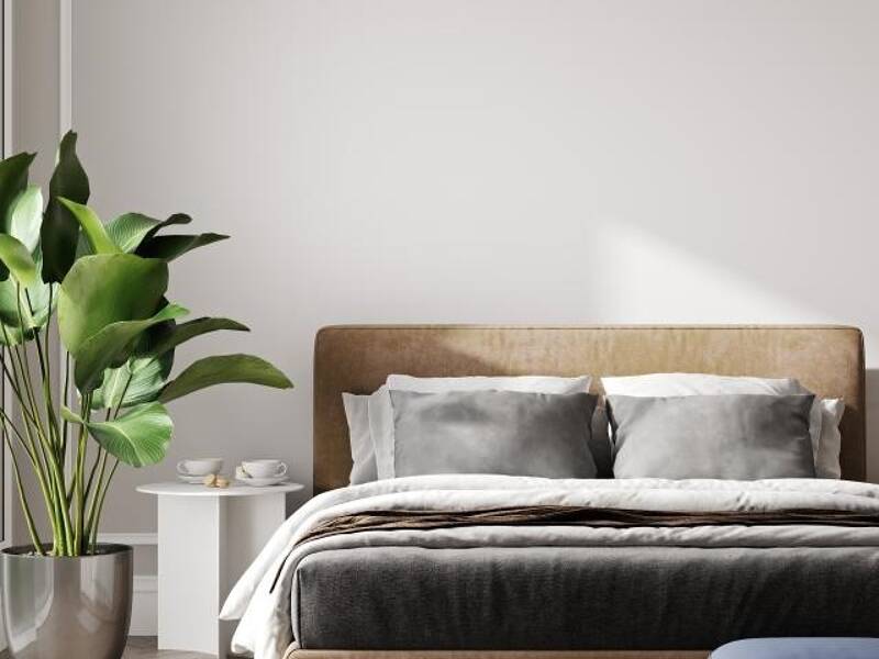 Maison à vendre, 66m², SAINT VINCENT DE PAUL