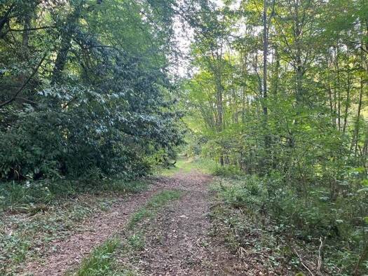 Terrain constructible à vendre 594 613 € 101 027 m² de terrain Sud Jurançon 64110