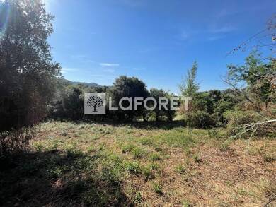Terrain à vendre 175 000 € 2 602 m² de terrain Santa Maria Siche 20190