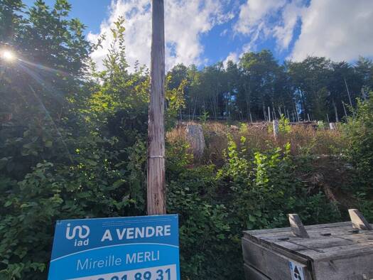 Terrain constructible à vendre 20 900 € 1 147 m² de terrain Bourbach-le-Haut 68290