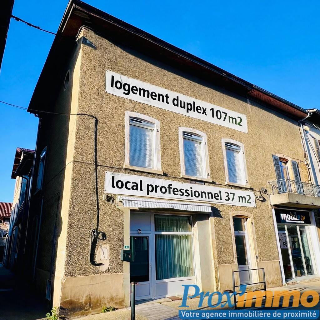Maison à vendre, 107m², SAINT ETIENNE DE SAINT GEOIRS