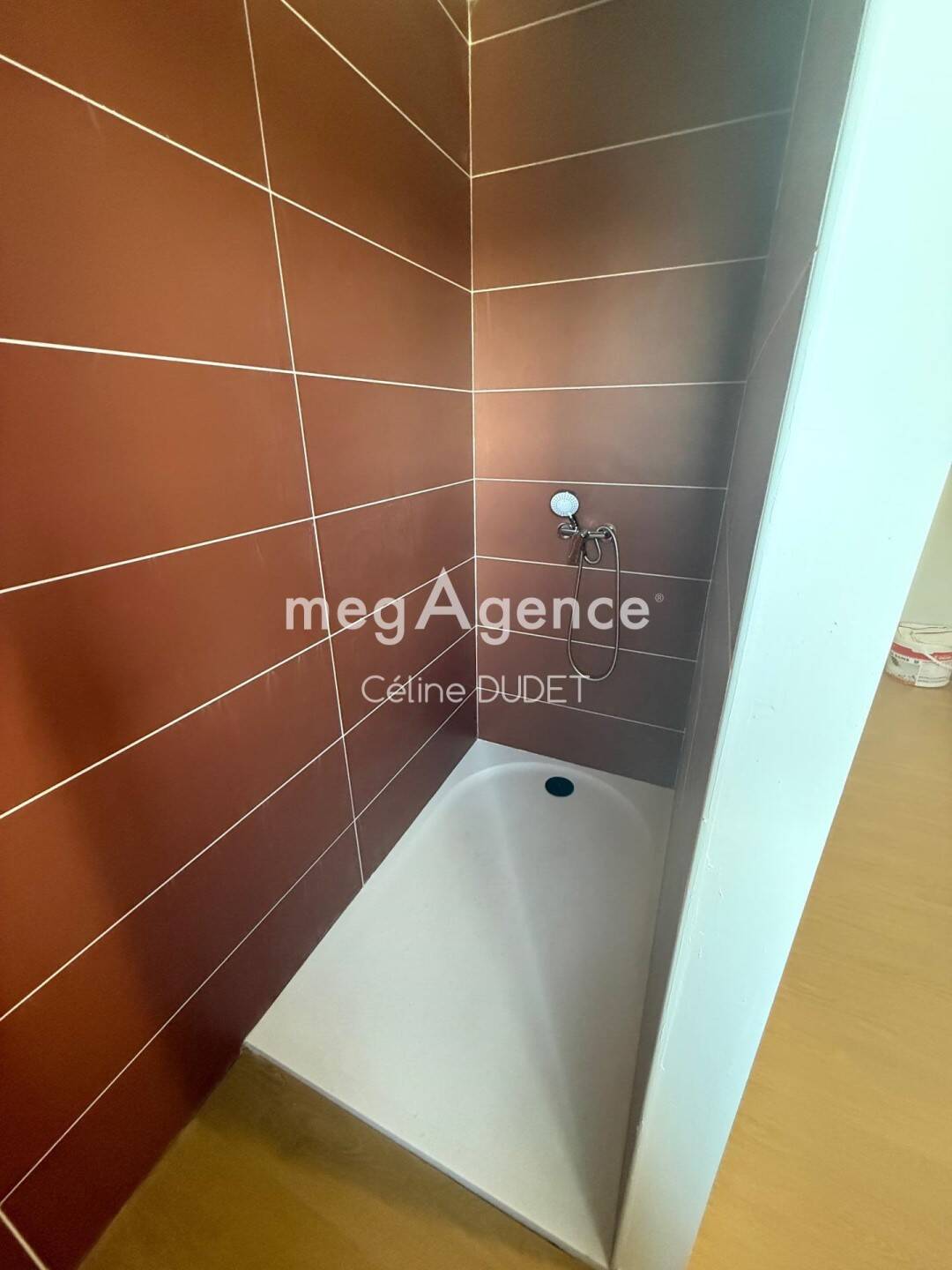 Maison à vendre, 160m², SAINT DIDIER SUR CHALARONNE