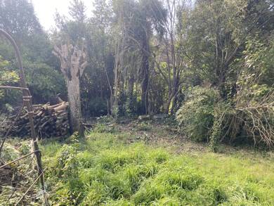 Terrain à vendre 33 000 € 377 m² de terrain Auch 32000