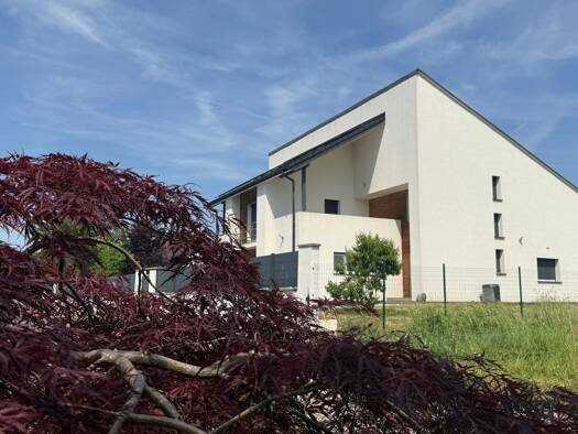 Maison à vendre 865 000 € 6 pièces 4 chambres 330 m² 2 000 m² de terrain Steinbrunn-le-Bas 68440