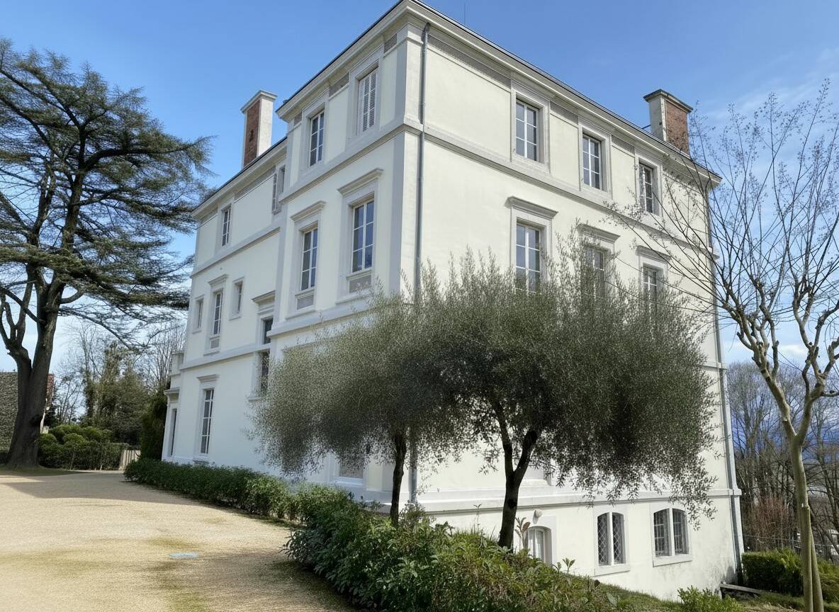 Maison à vendre, 900m², PAU